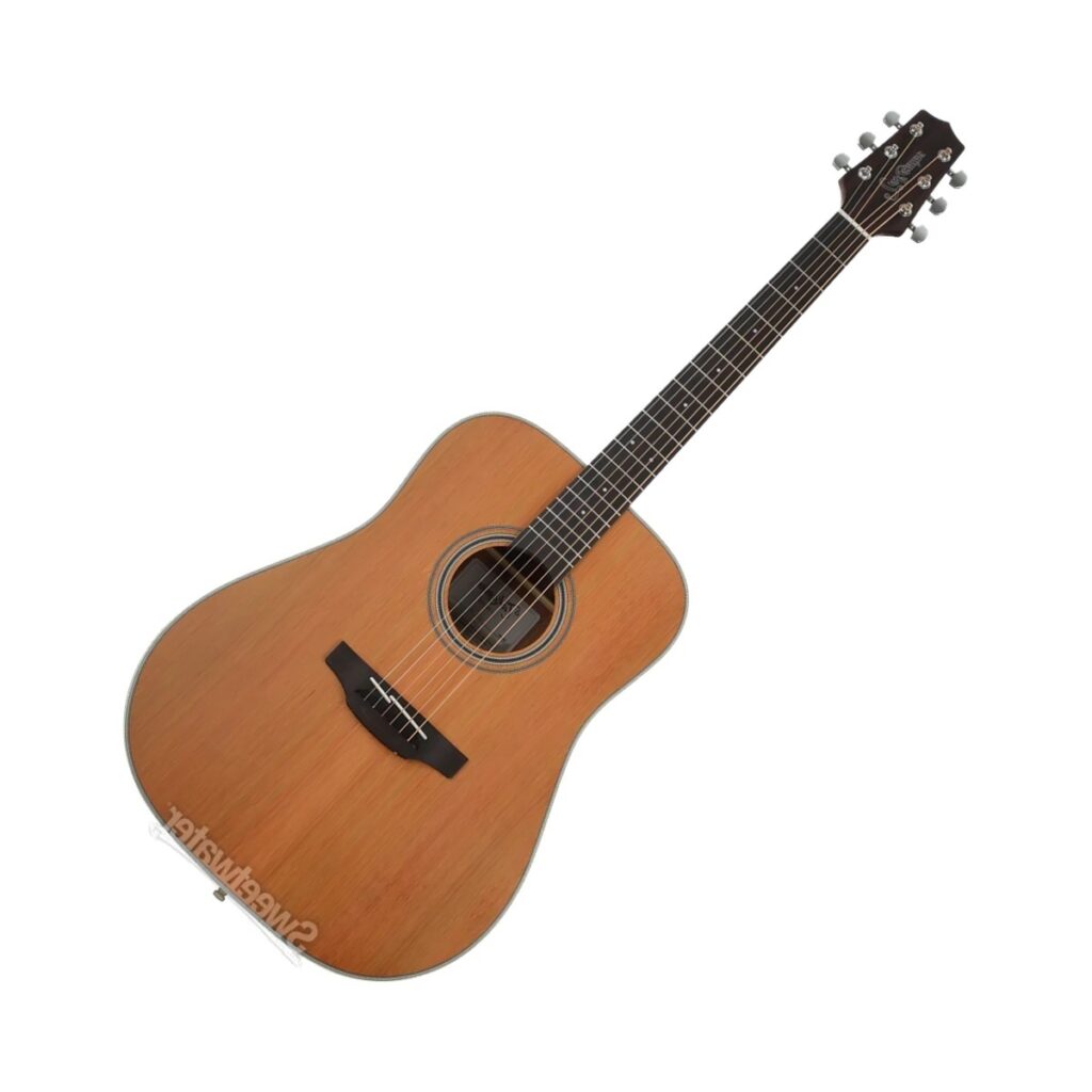 Takamine GD20 Acoustic Guitar - Natural Satin